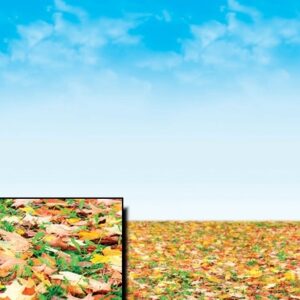 Autumn Landscape 3.6m Fadeless Paper Roll Designs 3.6m | First Class Office Online Store 2