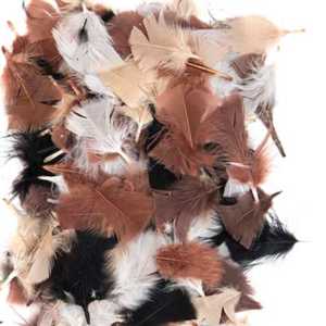 Natural Feathers 25g Arts and Crafts | First Class Office Online Store