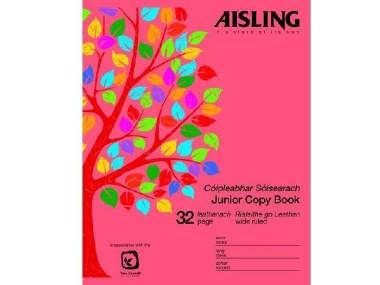 Aisling ASJ08 32pg Junior Copy (10) Aisling Copies | First Class Office Online Store 2