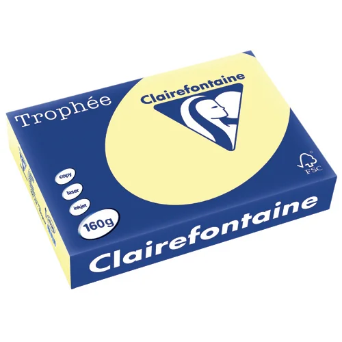 Clairefontaine Trophee A4 160gsm Canary Yellow Card (250) A4 Card | First Class Office Online Store 2
