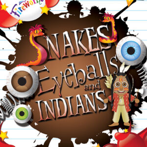 Fireworks – Snakes, Eyeballs & Indians – 6th Class Skills Book Comprehension | First Class Office Online Store