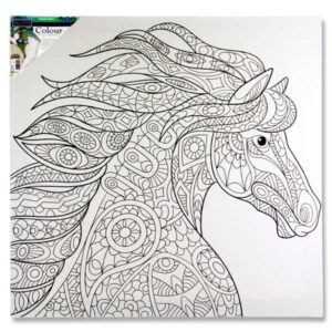 Icon 500x500mm Large Colour My Canvas – Horse Arts and Crafts | First Class Office Online Store