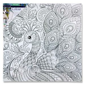 Icon 300x300mm Colour My Canvas – Peacock Arts and Crafts | First Class Office Online Store