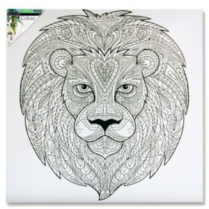 Icon 500x500mm Large Colour My Canvas – Lion Arts and Crafts | First Class Office Online Store