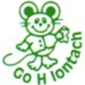 Go h’Iontach Stamp Gaeilge | First Class Office Online Store