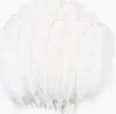 White Craft Feathers- 200 piece