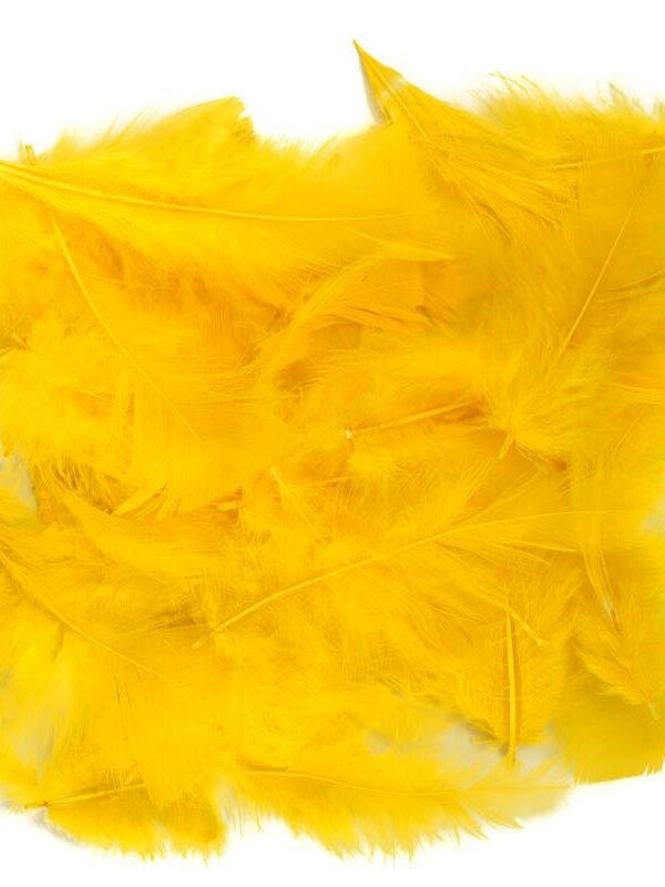 Craft Resources Yellow Feathers 200pc