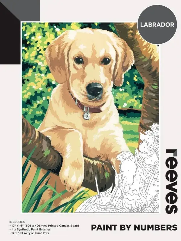 Reeves 12x16" Paint By Numbers- Labrador